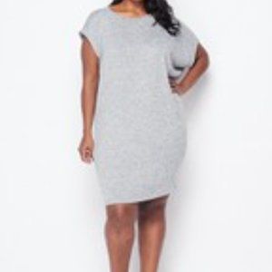 NWT Plus Tunic Dress